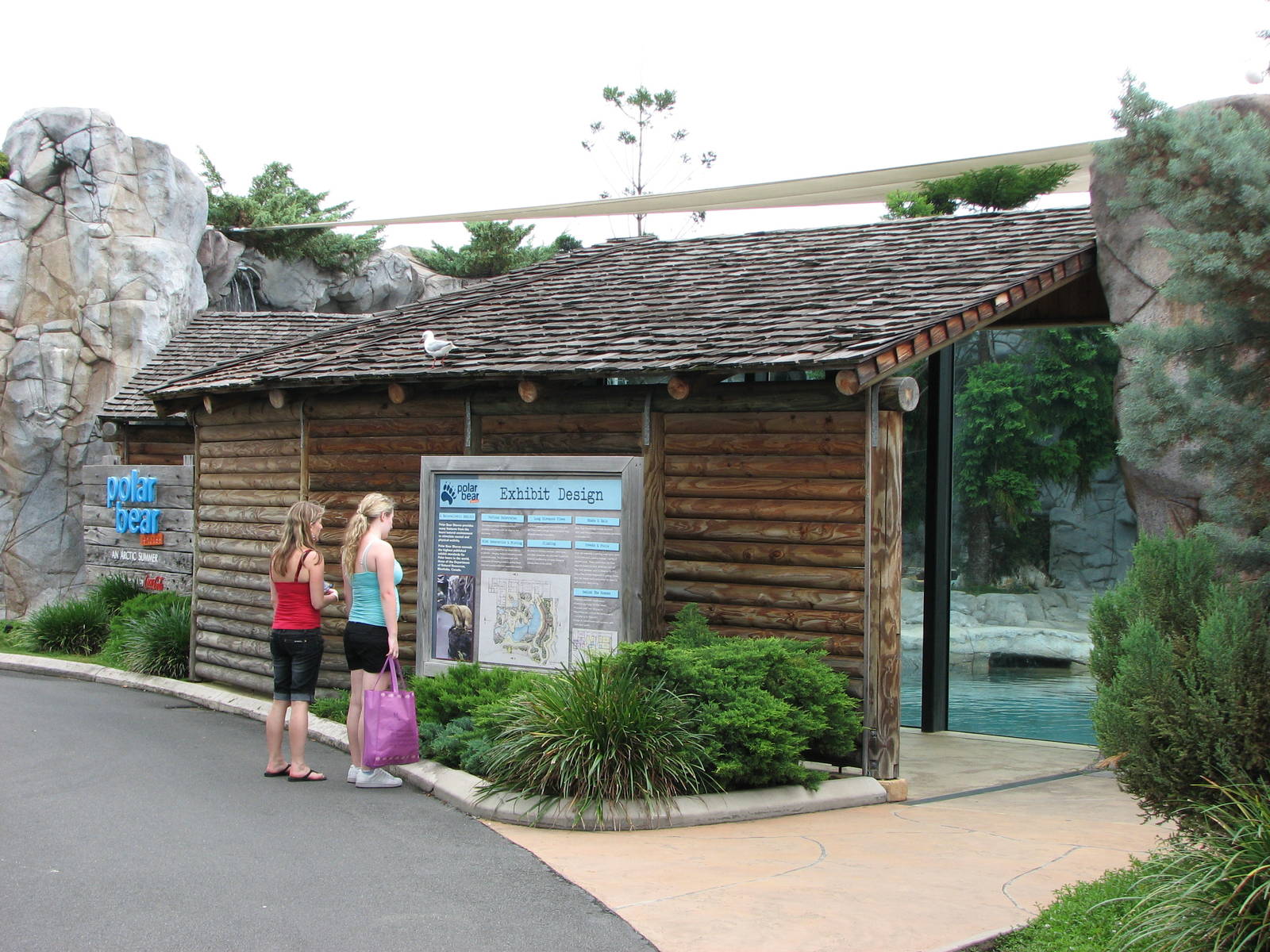 Sea World Gold Coast - Front of Polar Bear exhibit
