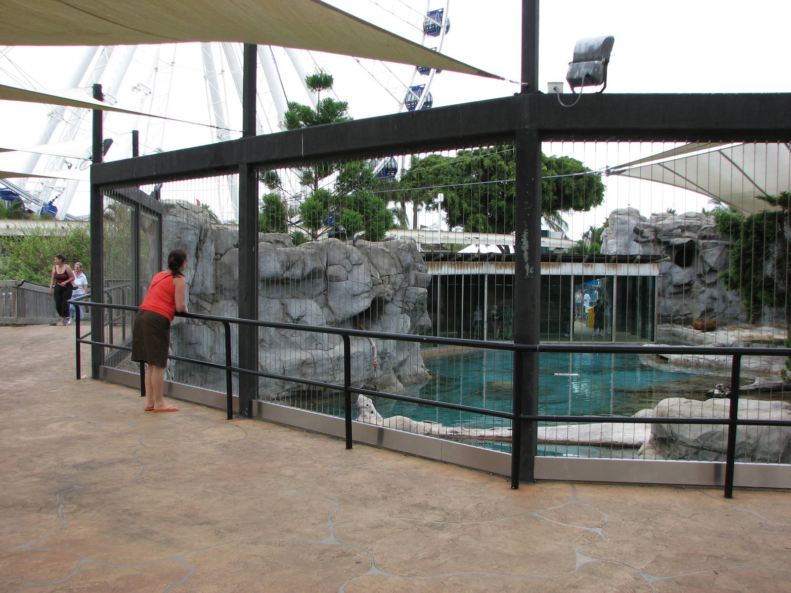 Sea World Gold Coast - Front of Polar Bear exhibit