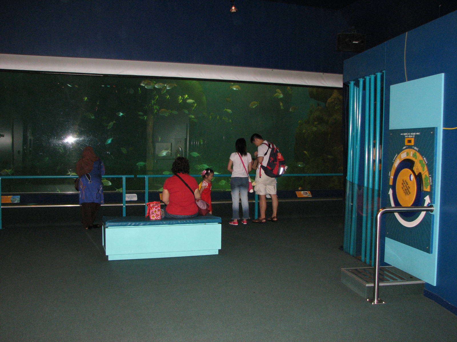Sea World Gold Coast - Inside Dugong Discovery