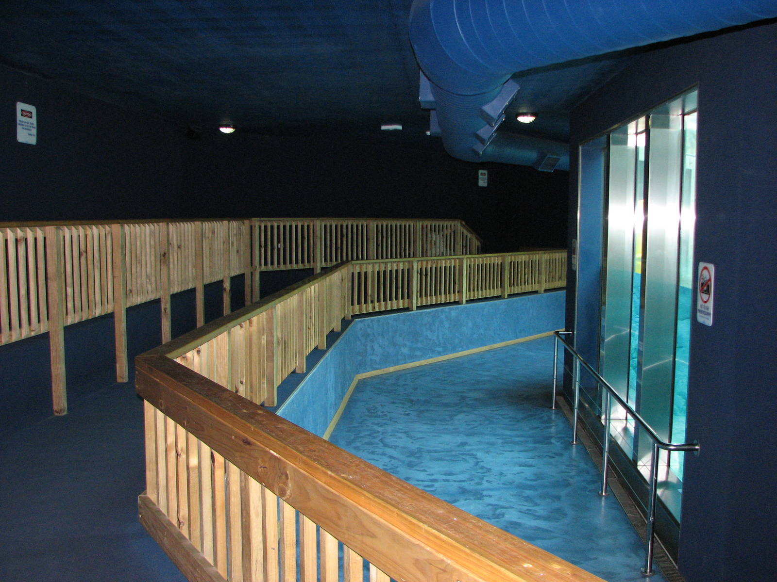 Sea World Gold Coast - Polar Bear exhibit underwater viewing
