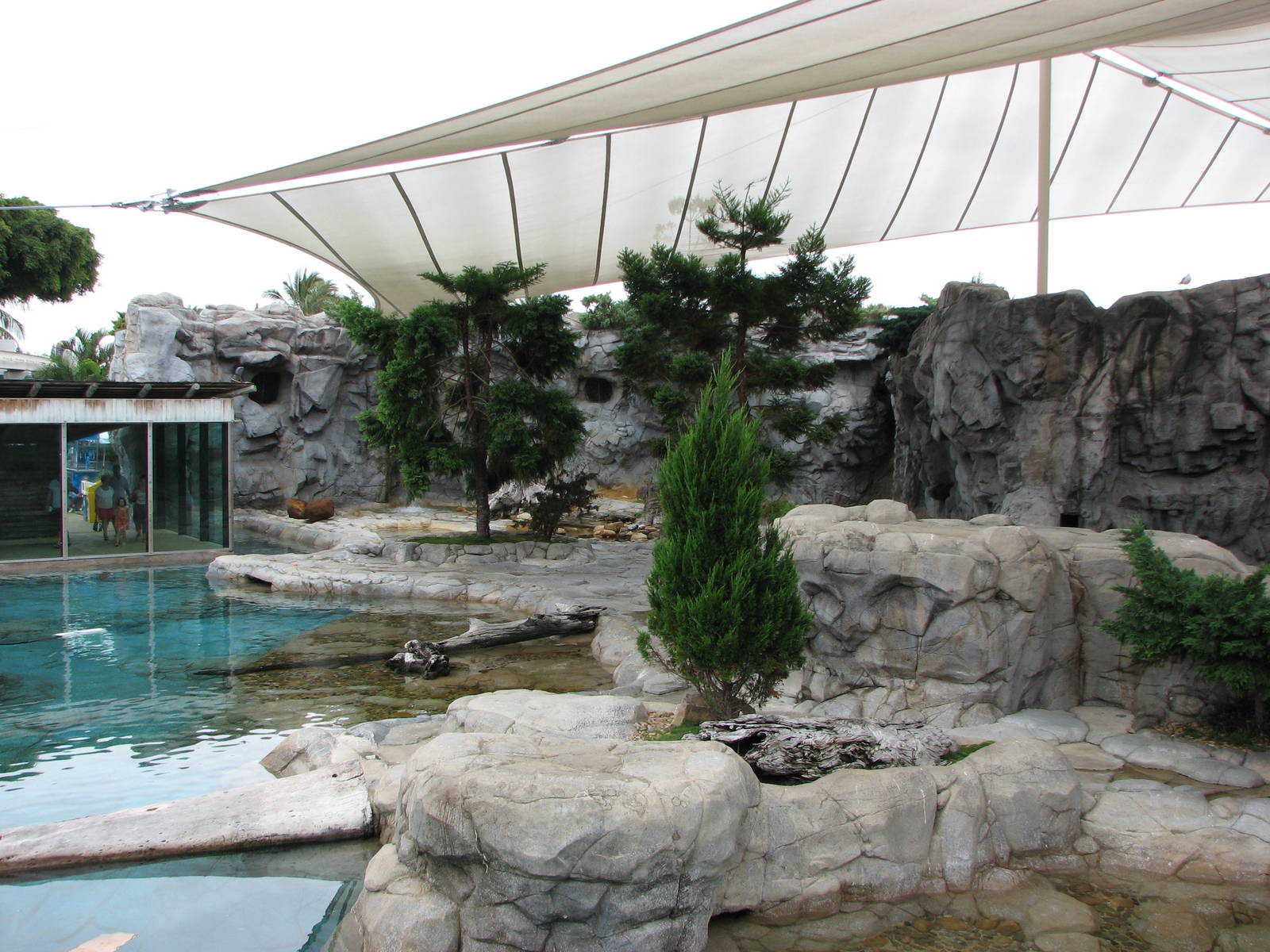 Sea World Gold Coast - Polar Bear exhibit