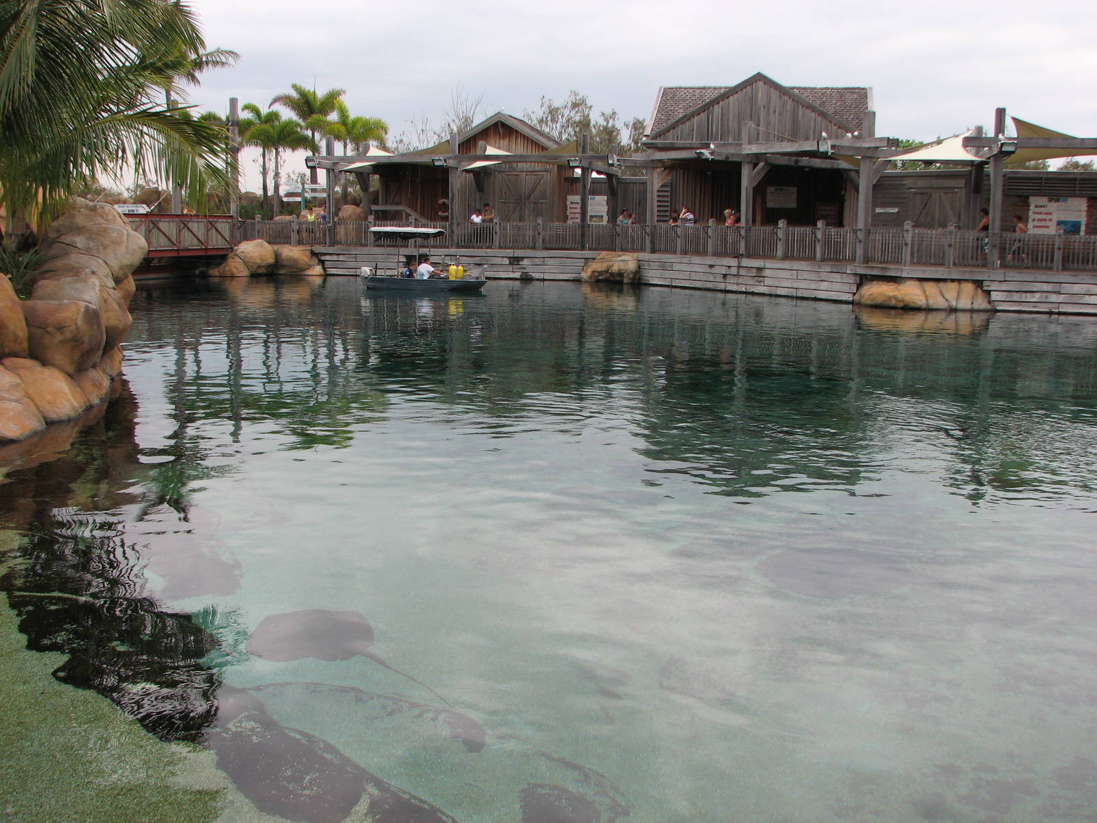 Sea World Gold Coast - Ray Pool