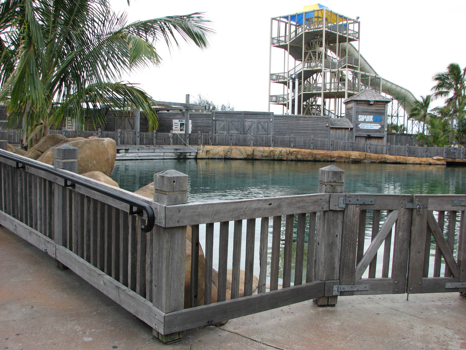 Sea World Gold Coast - Shark Lagoon