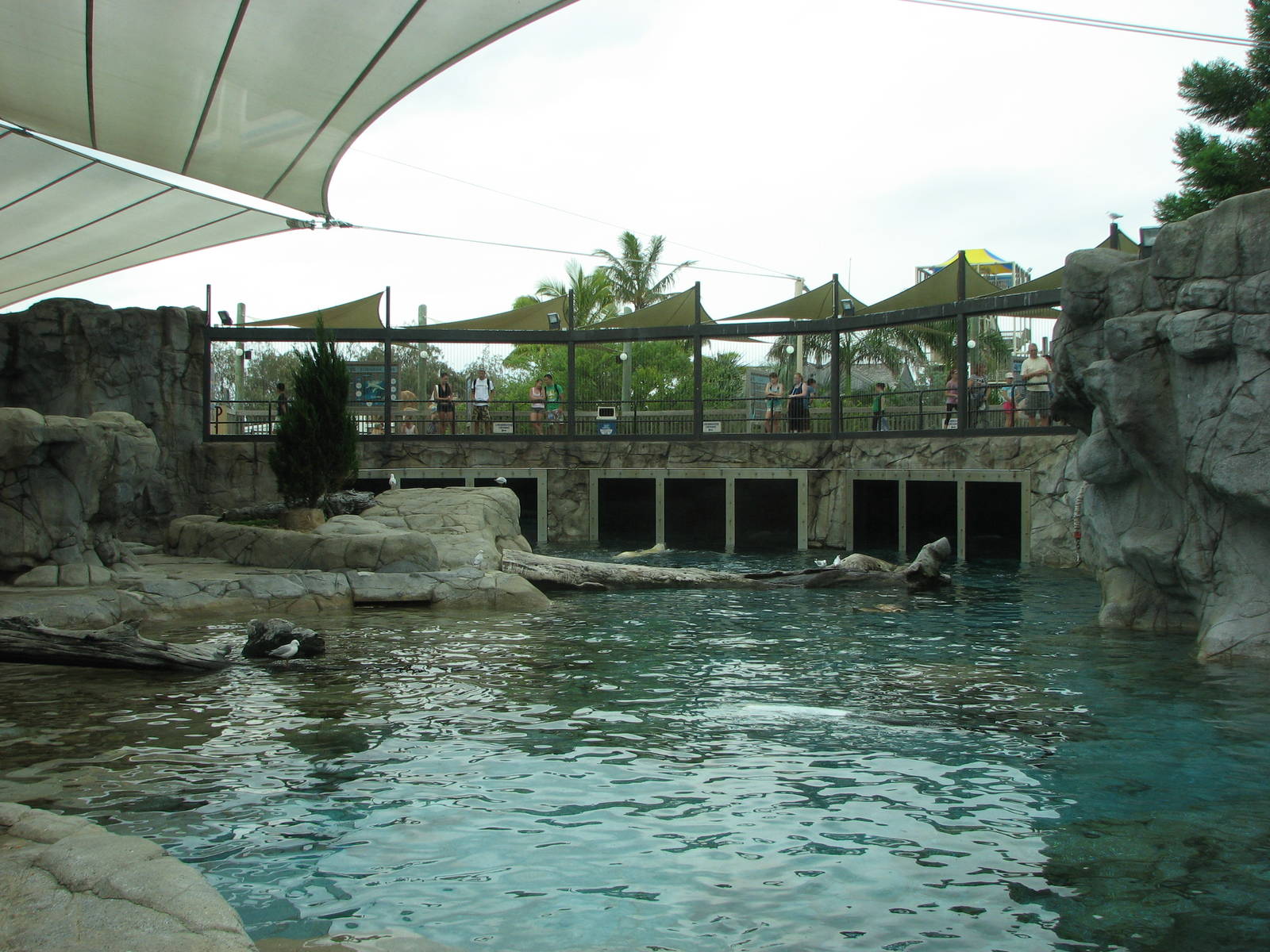 Sea World Gold Coast - View inside the Polar Bear exhibit