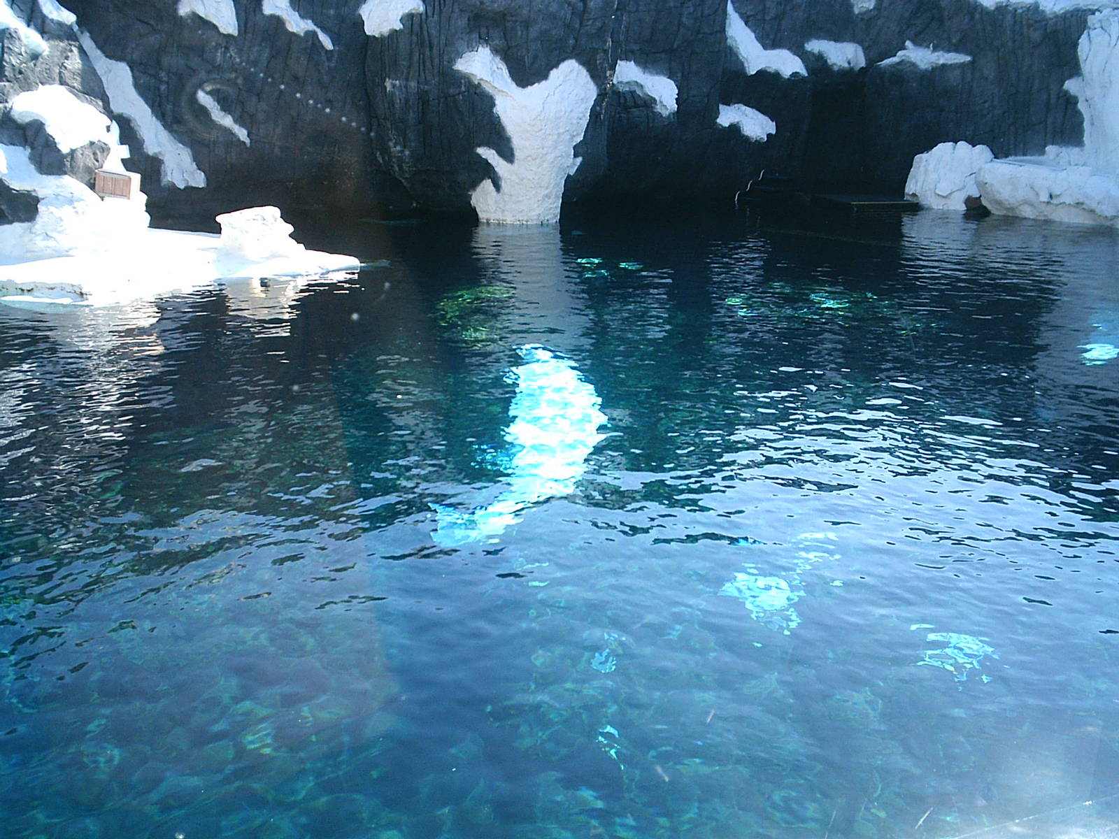 Sea World October 2008