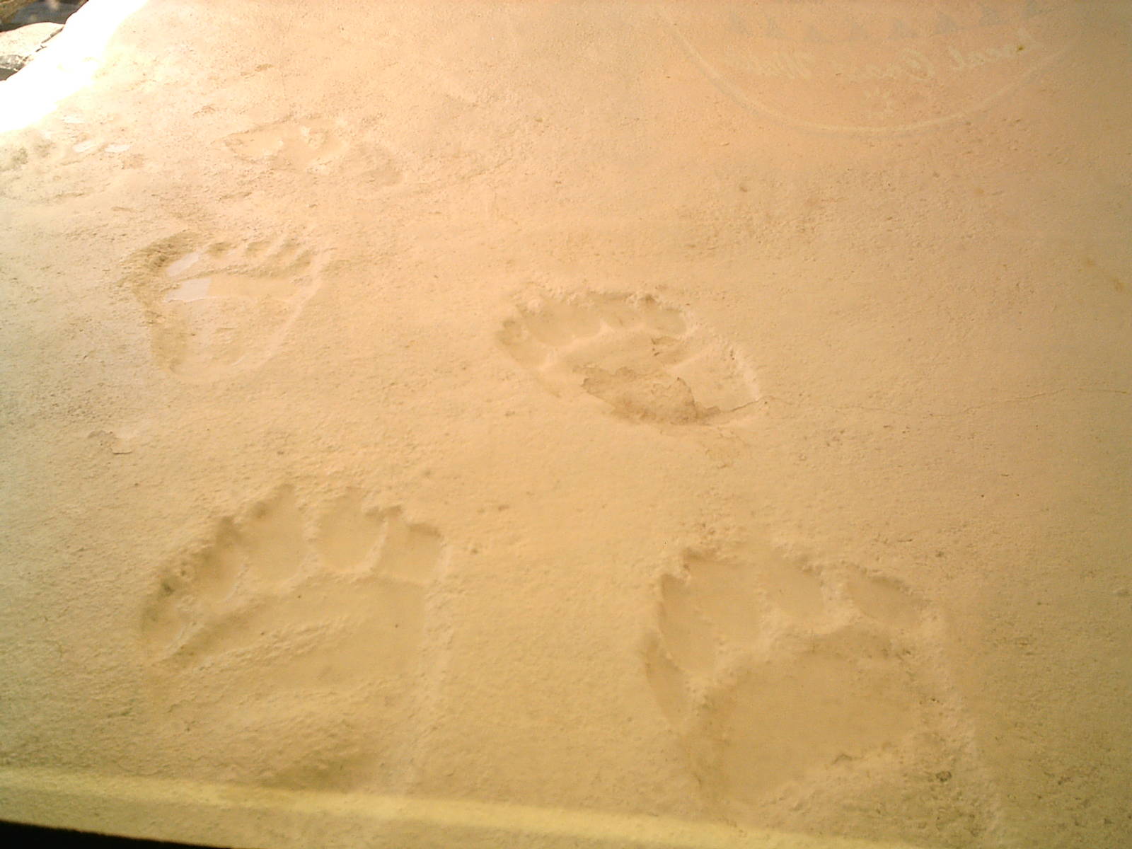 Sea World October 2008