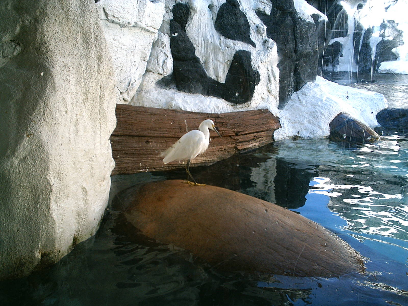 Sea World October 2008