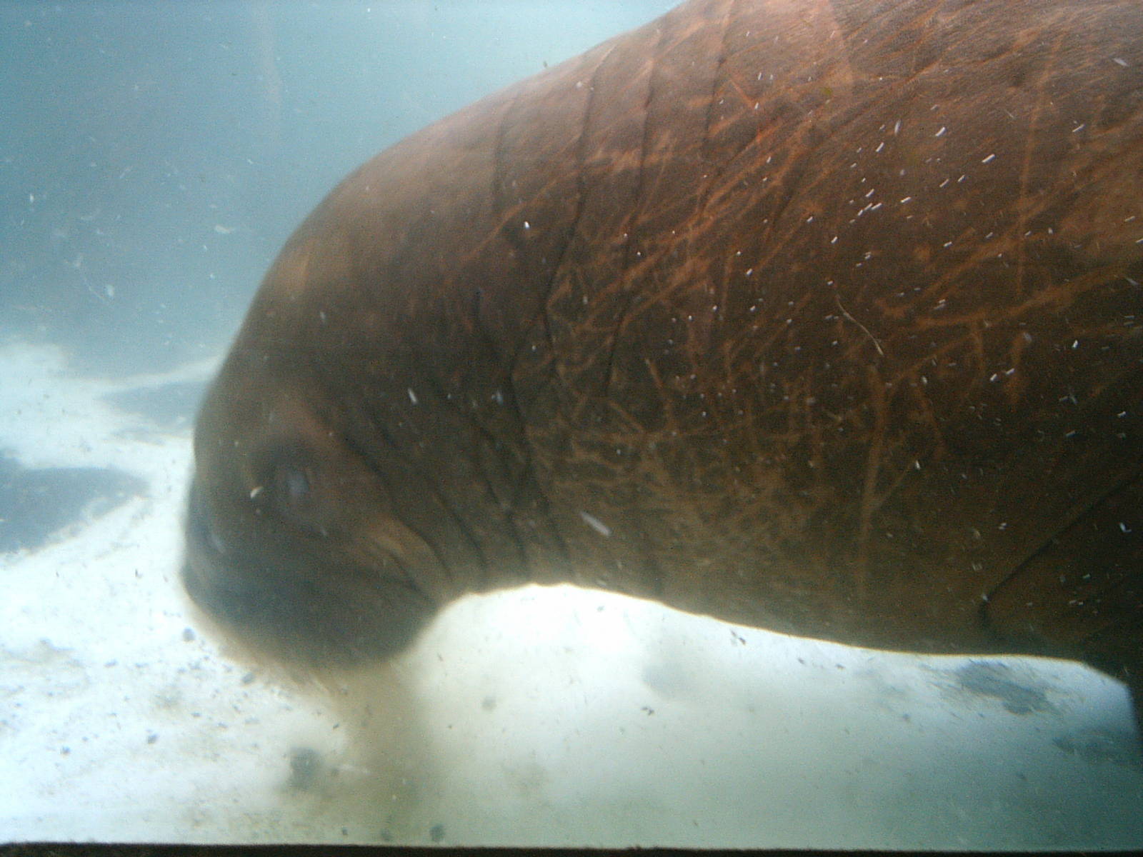 Sea World October 2008