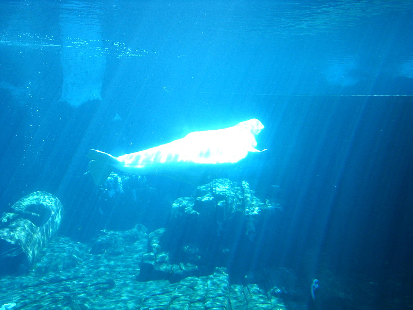 Sea World October 2008