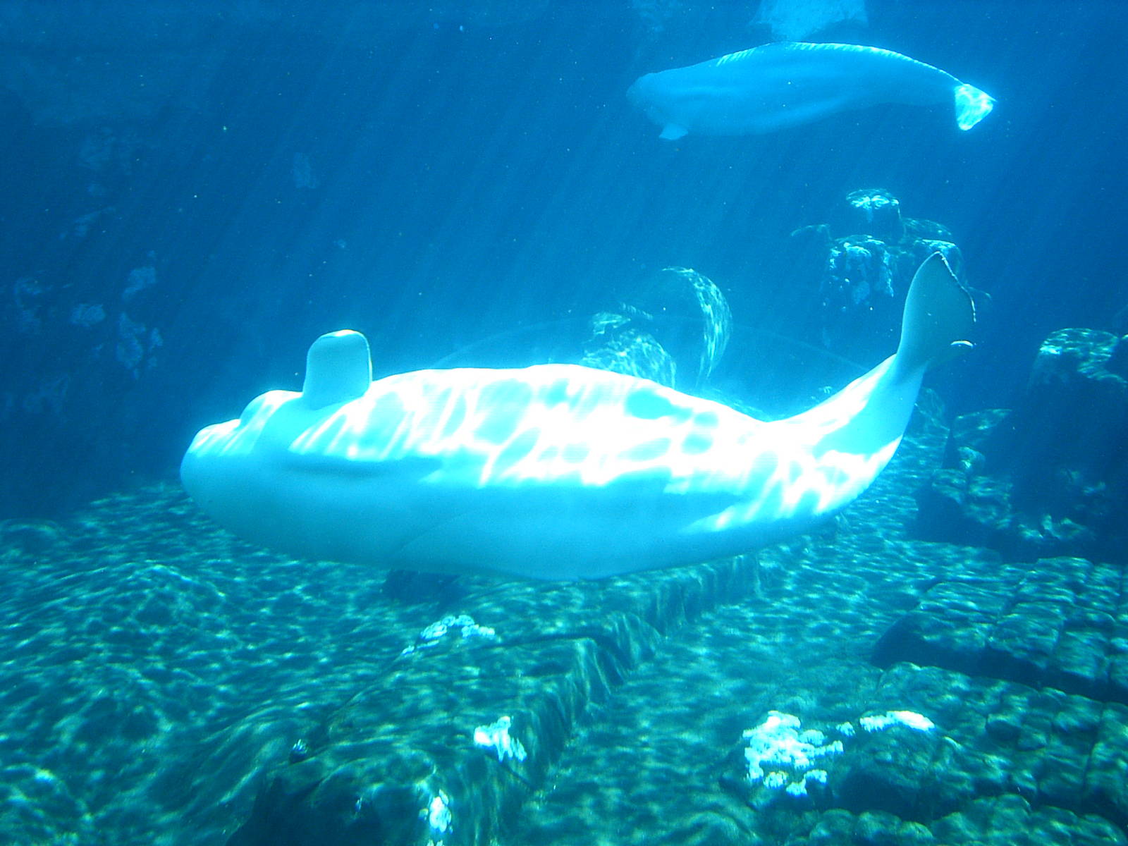 Sea World October 2008