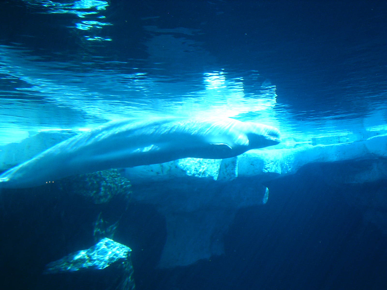 Sea World October 2008