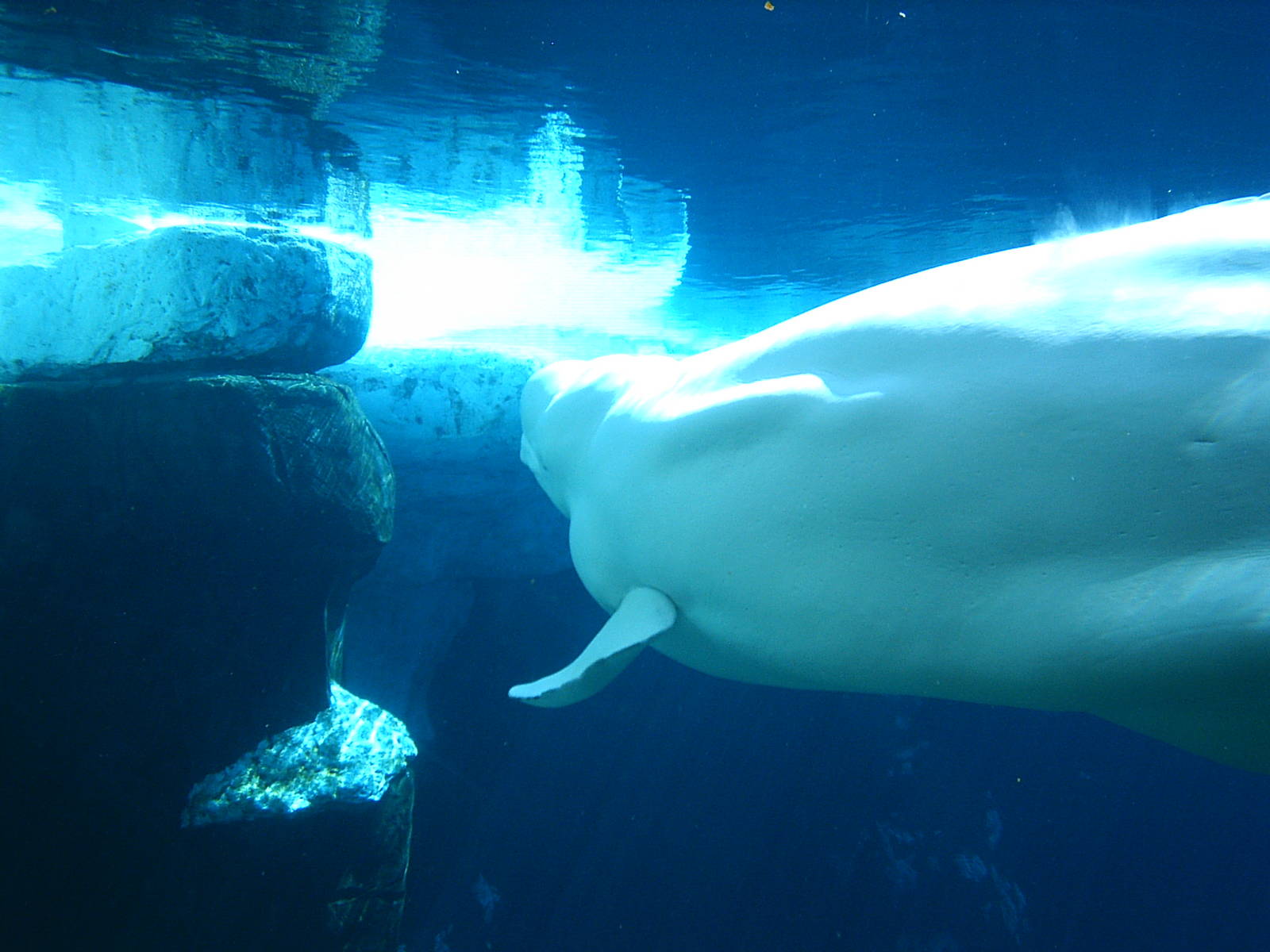 Sea World October 2008