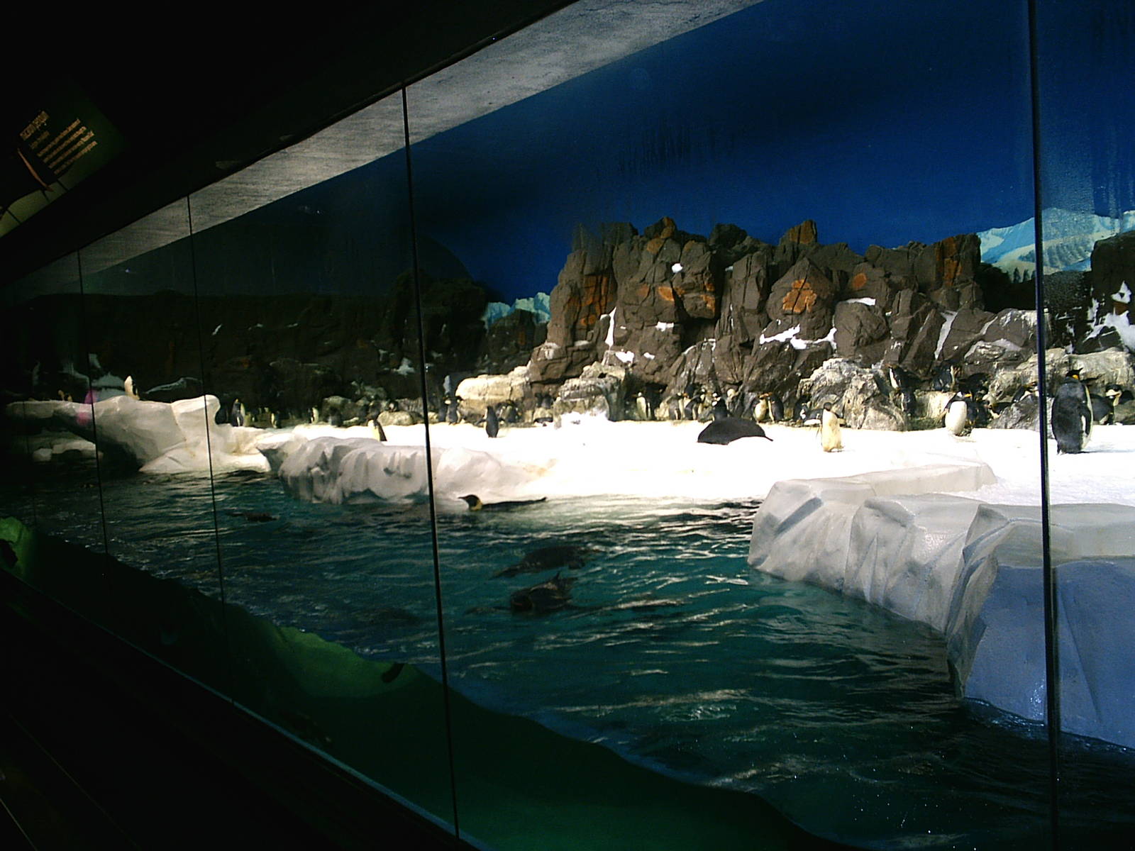 Sea World October 2008