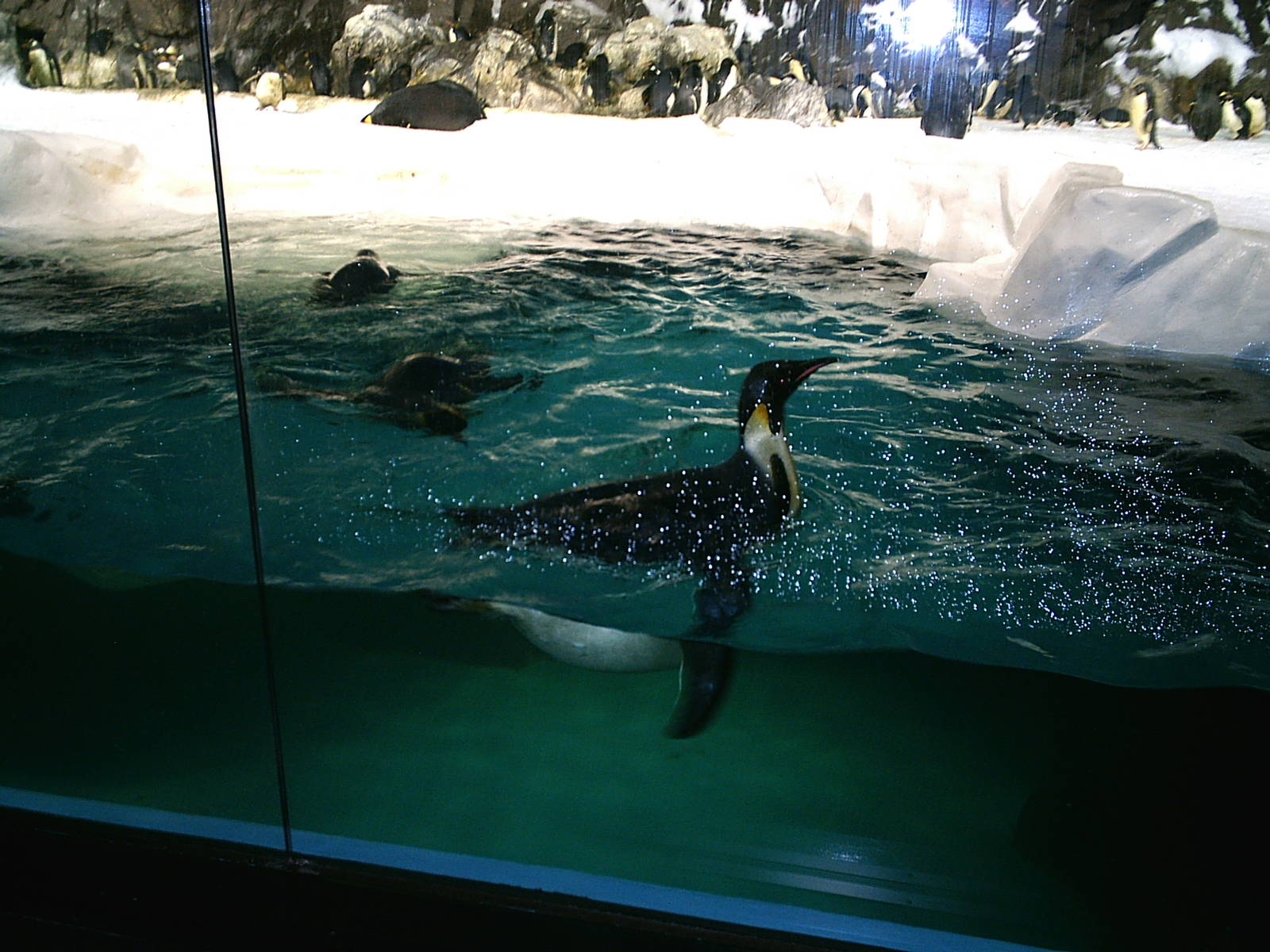 Sea World October 2008