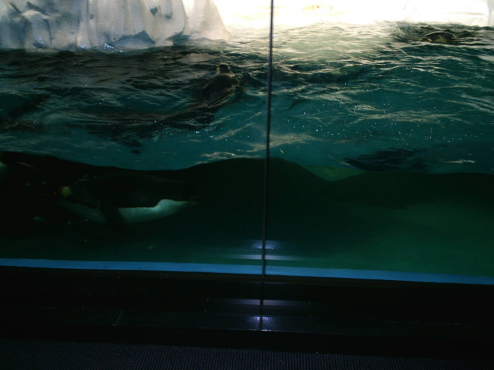 Sea World October 2008