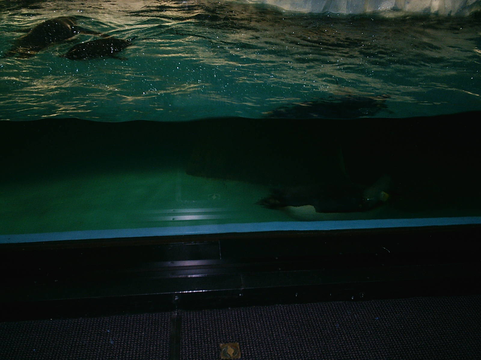 Sea World October 2008