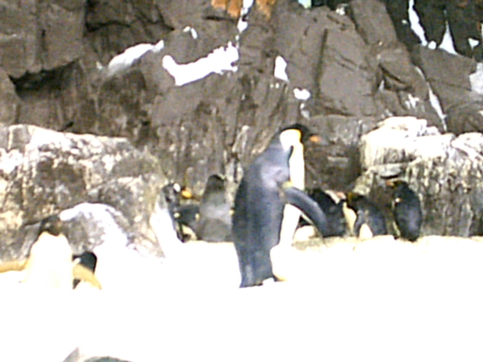 Sea World October 2008