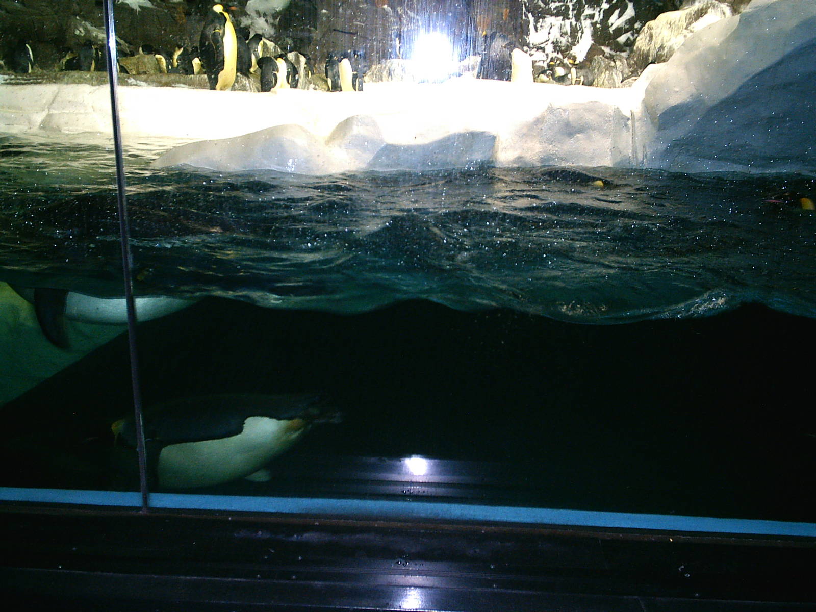 Sea World October 2008