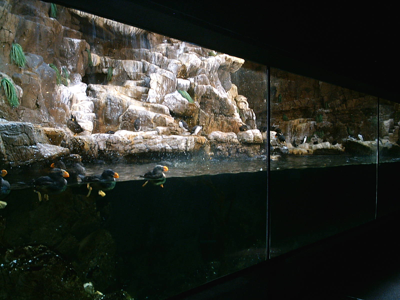 Sea World October 2008