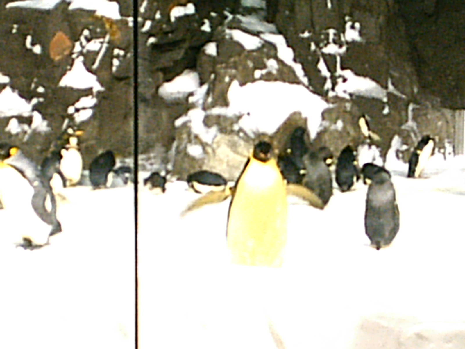 Sea World October 2008