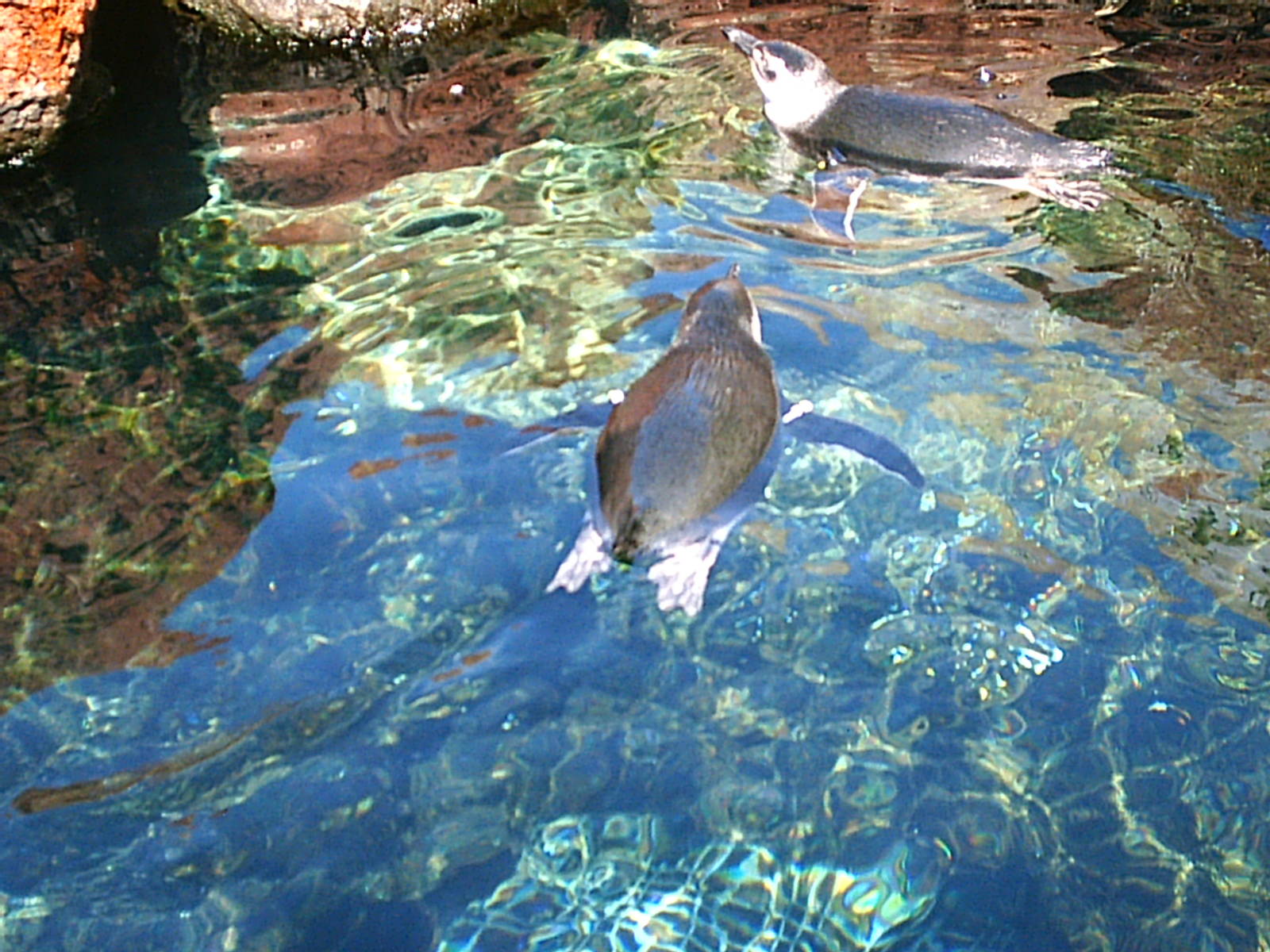 Sea World October 2008