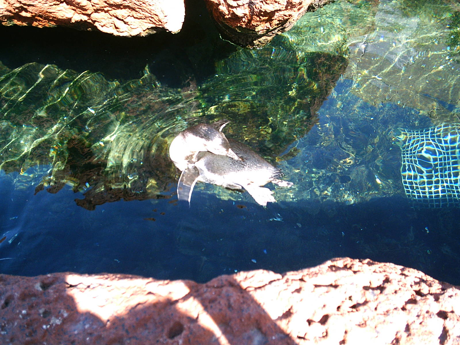 Sea World October 2008