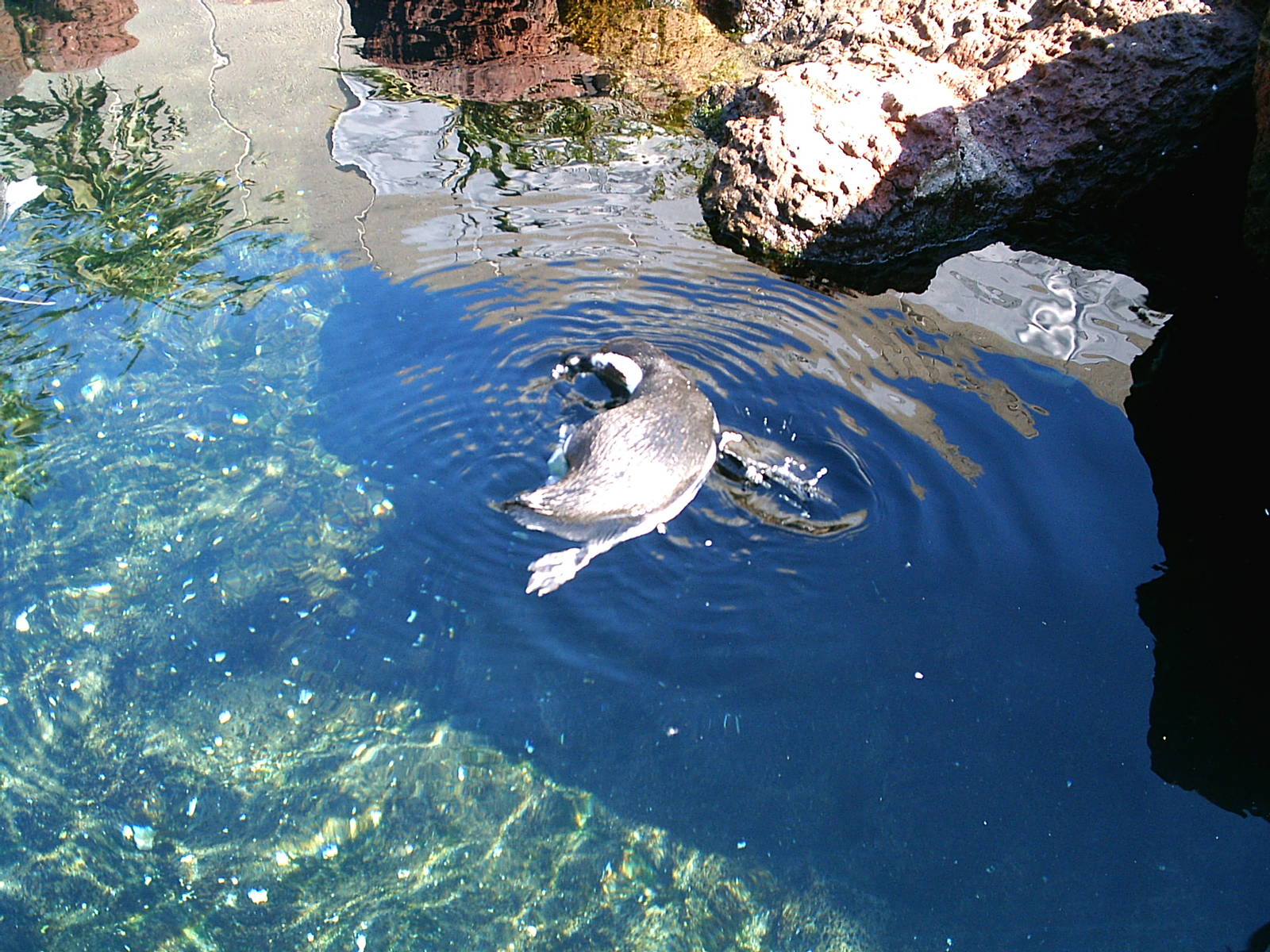 Sea World October 2008