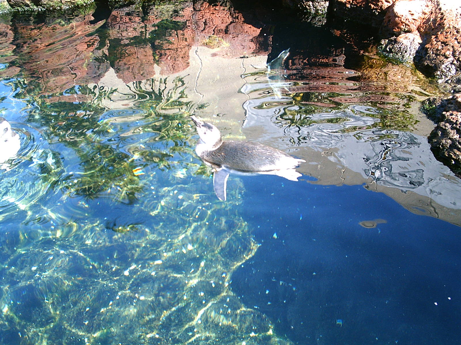 Sea World October 2008