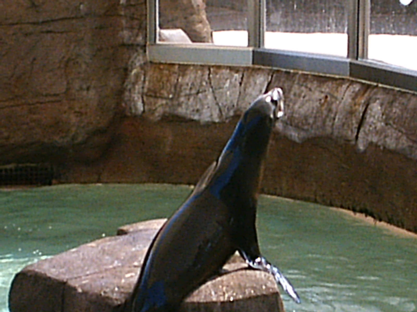 Sea World October 2008