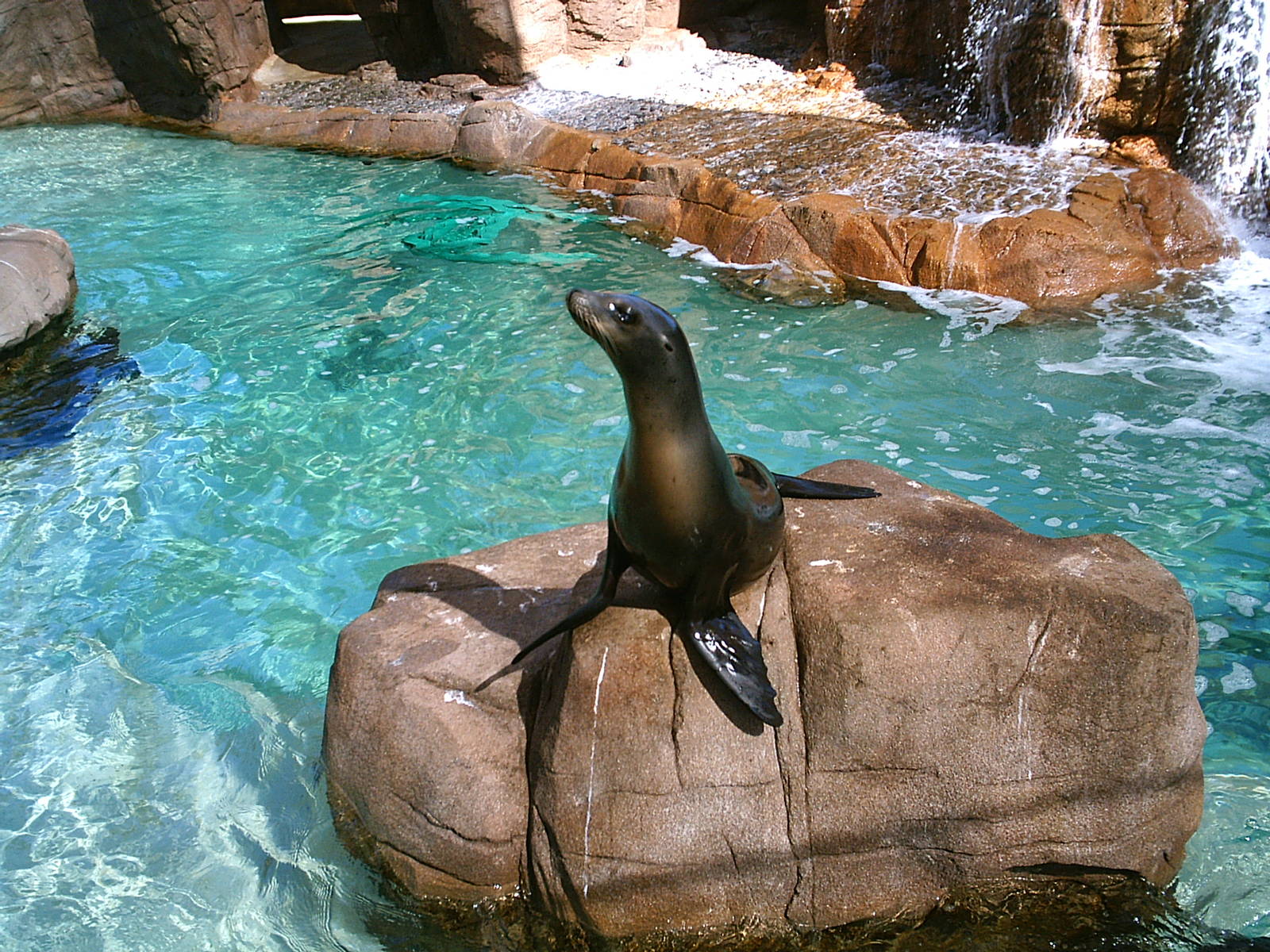 Sea World October 2008