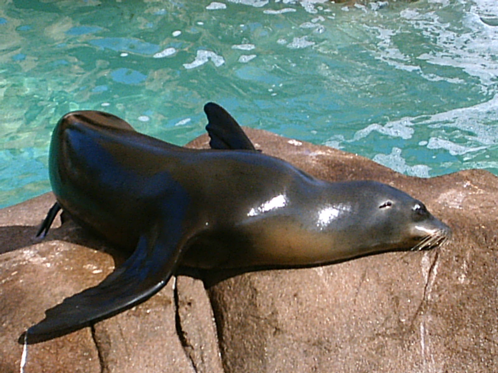 Sea World October 2008