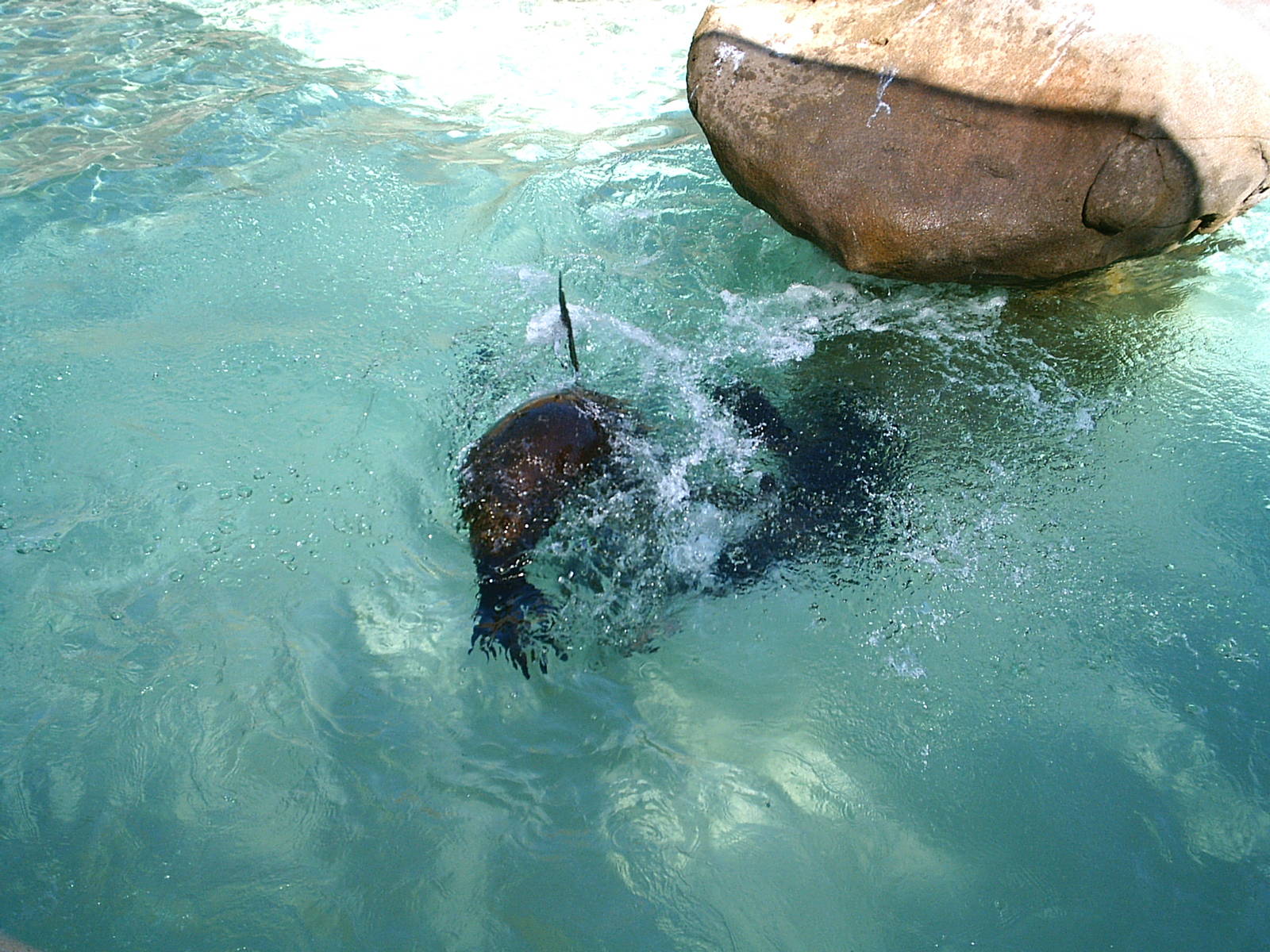 Sea World October 2008