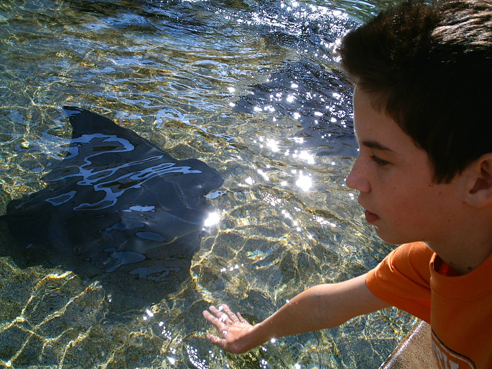 Sea World October 2008