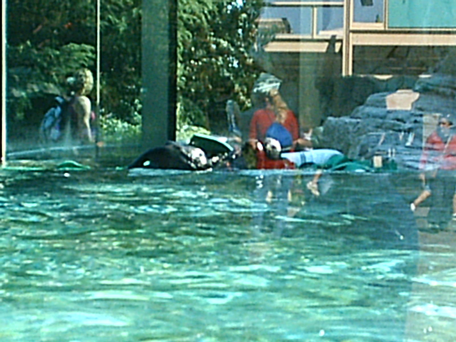 Sea World October 2008