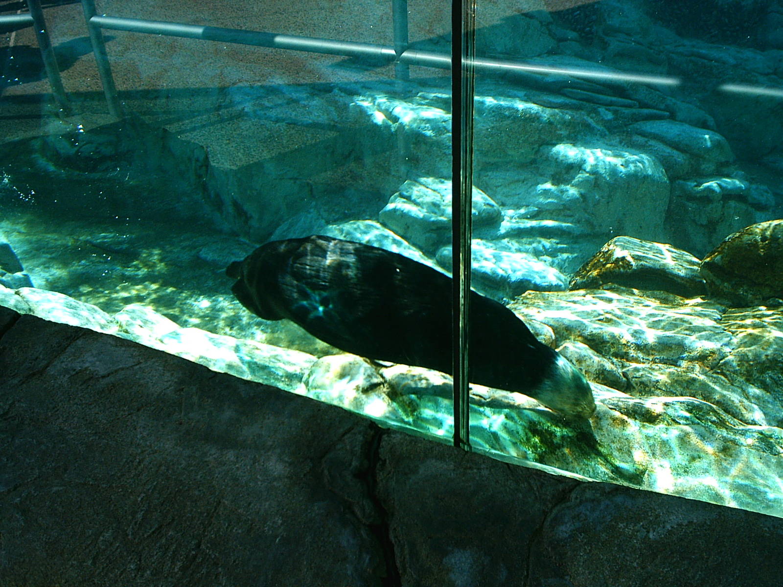 Sea World October 2008