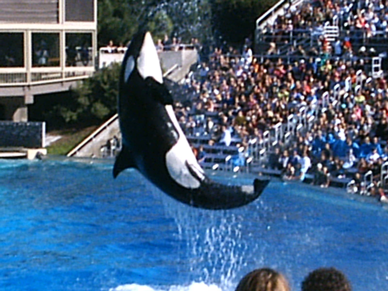 Sea World October 2008