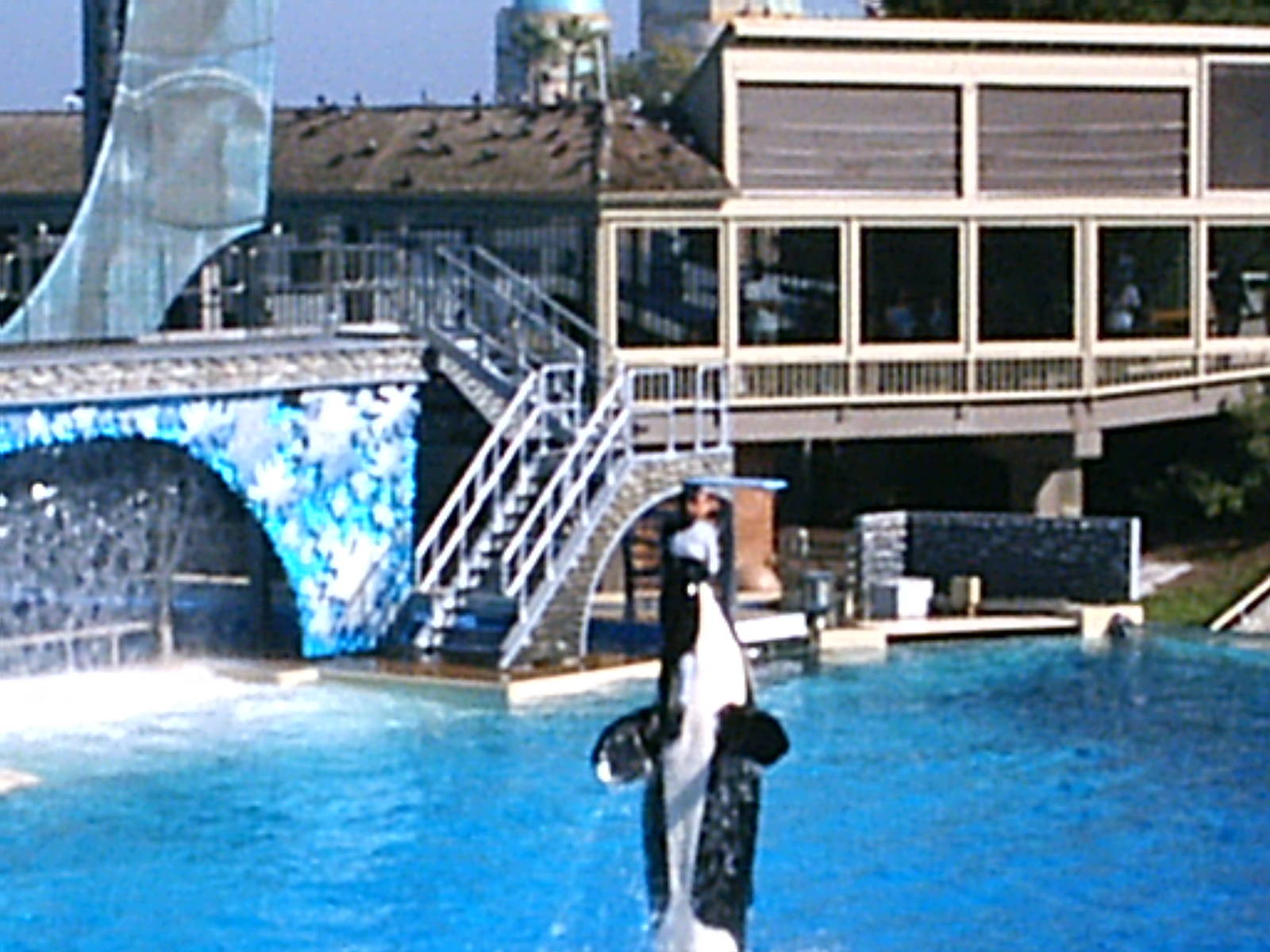 Sea World October 2008