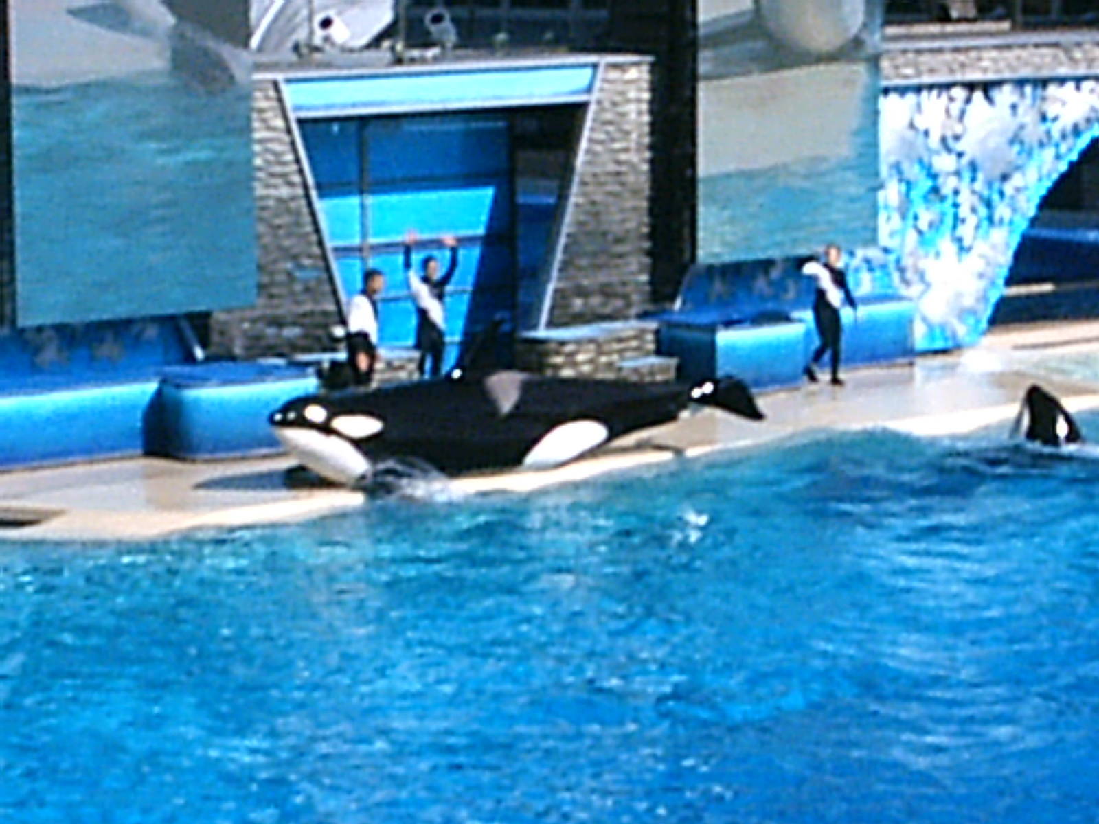 Sea World October 2008