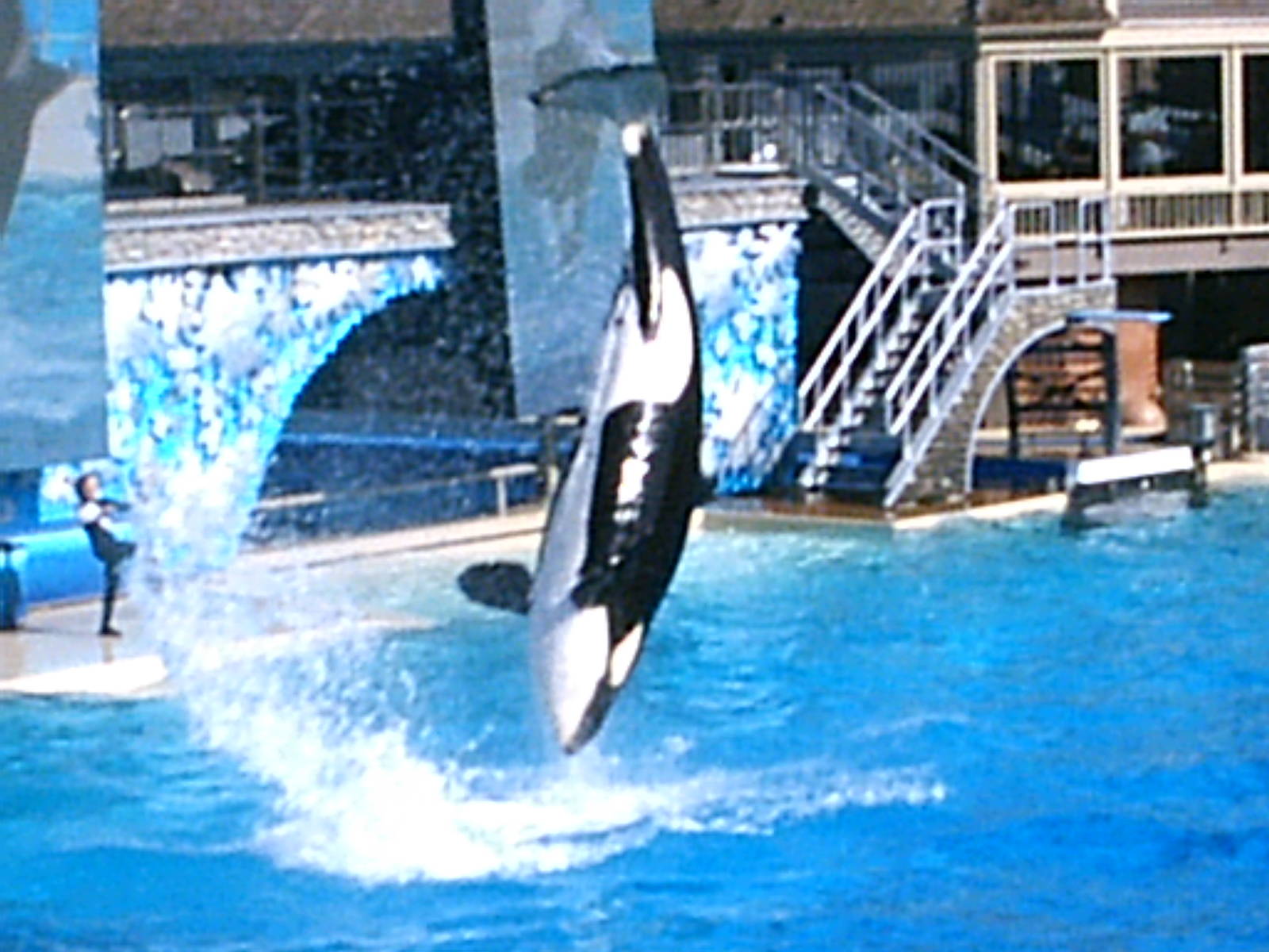 Sea World October 2008