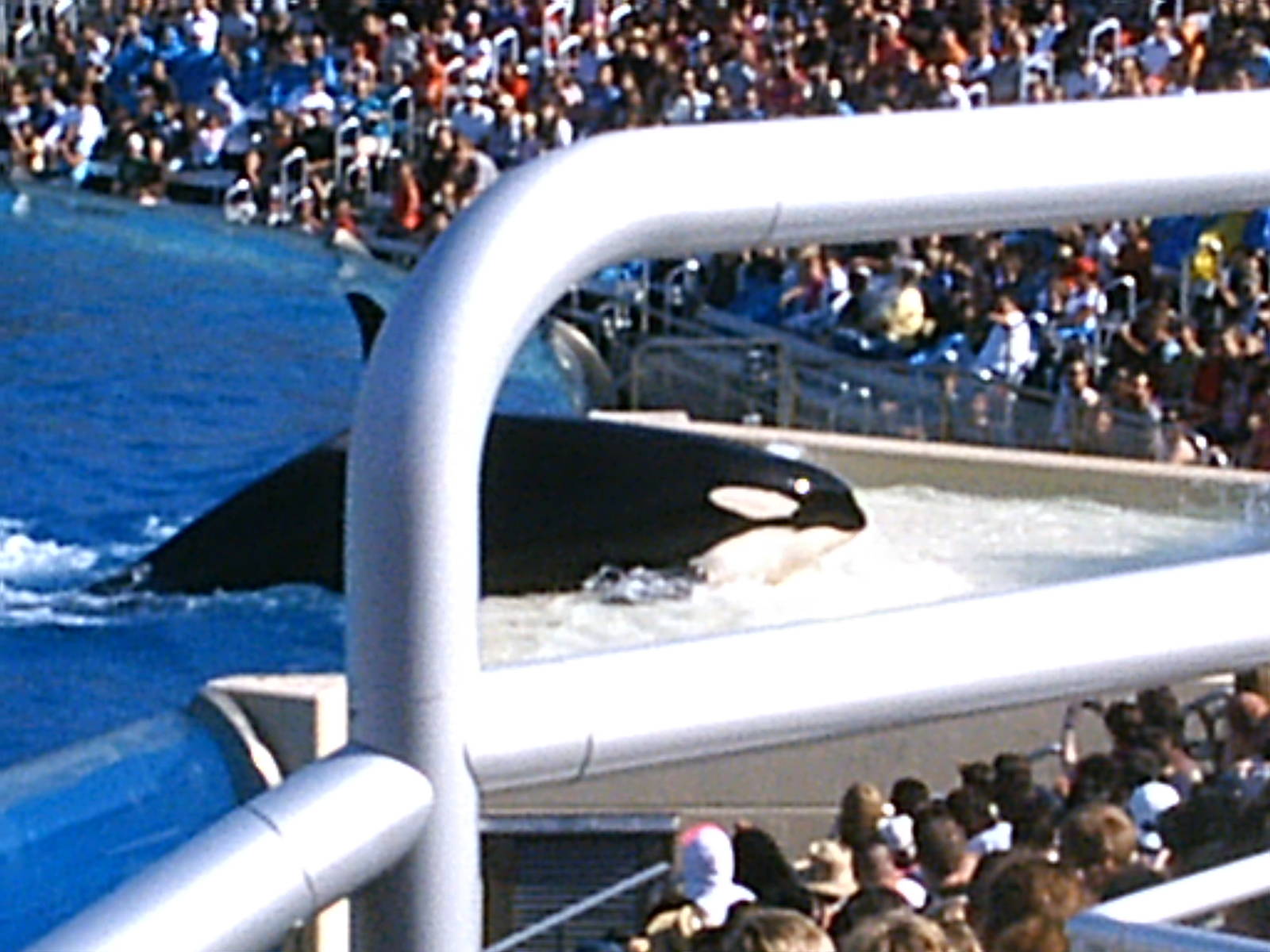 Sea World October 2008