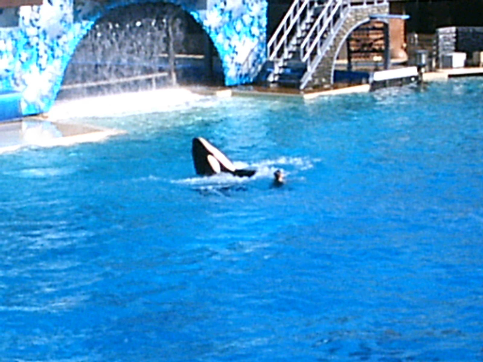 Sea World October 2008