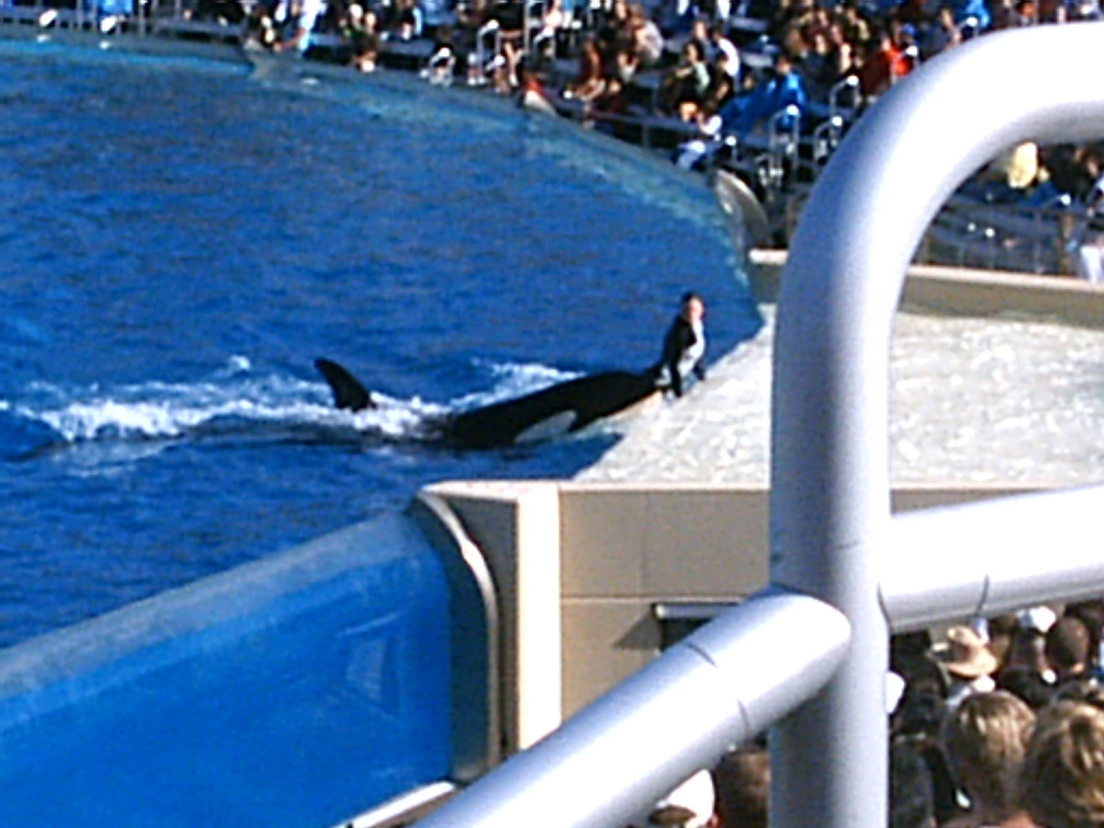 Sea World October 2008