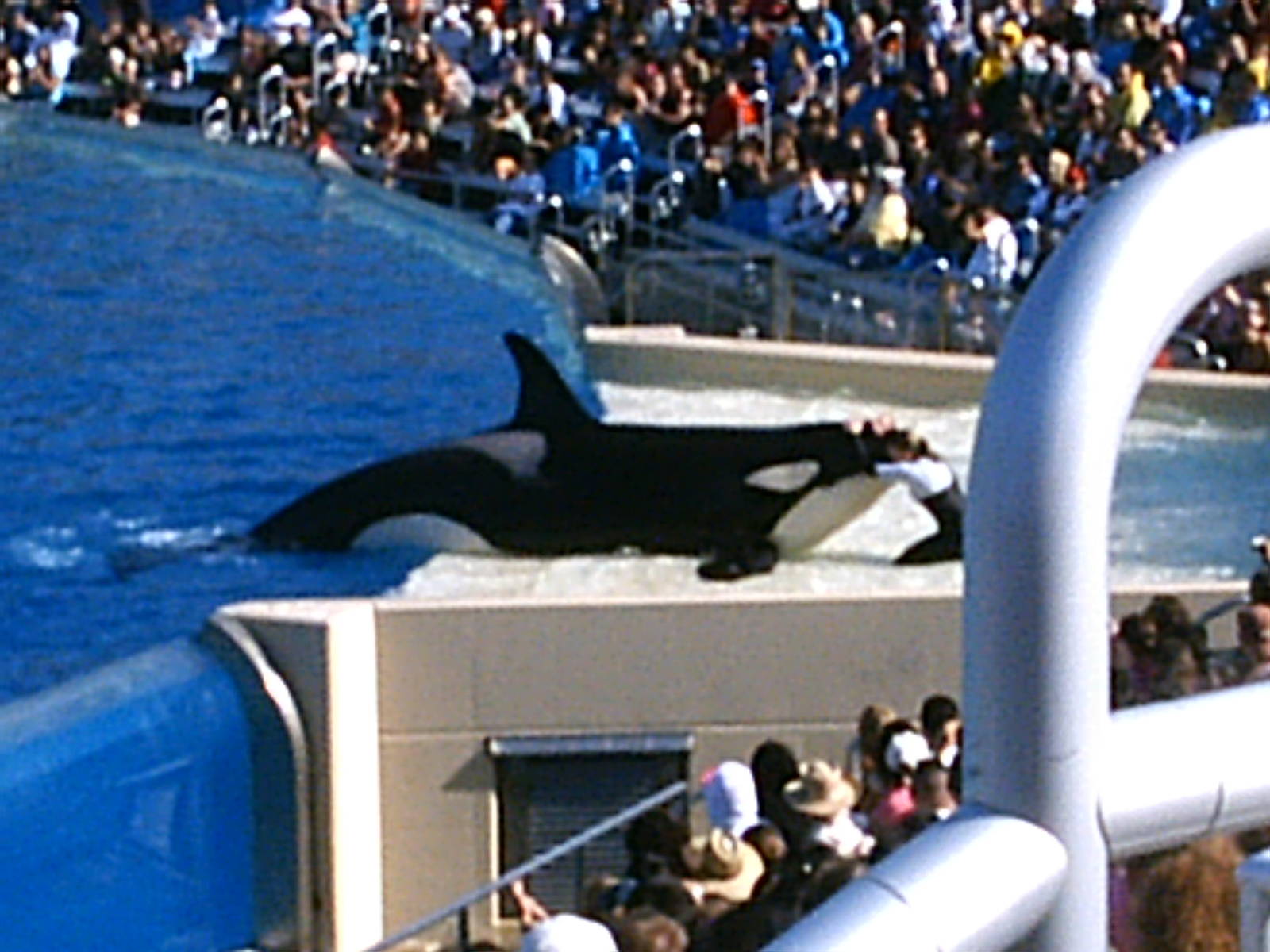 Sea World October 2008