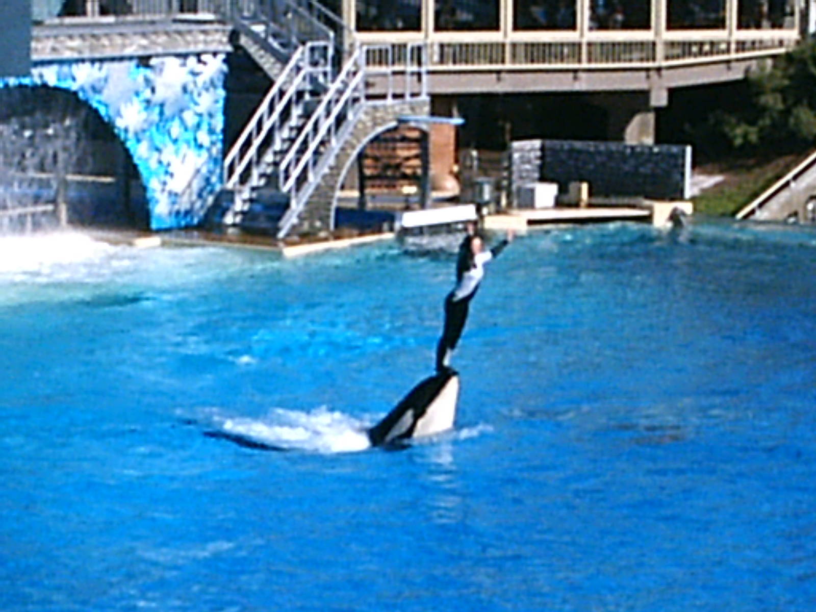 Sea World October 2008