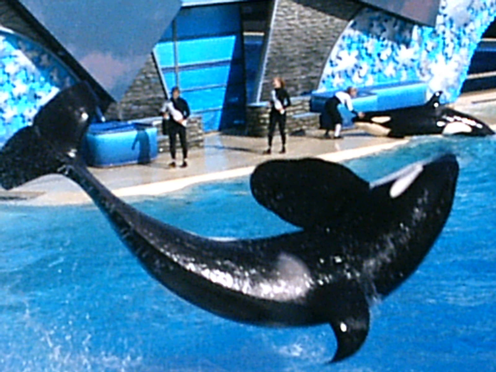 Sea World October 2008