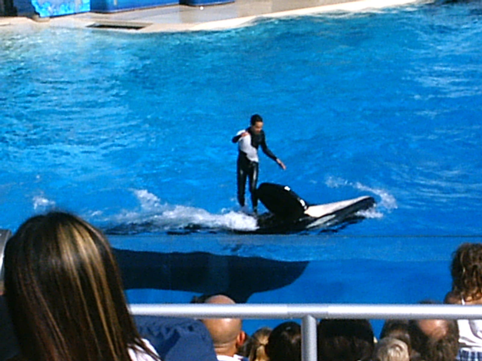 Sea World October 2008