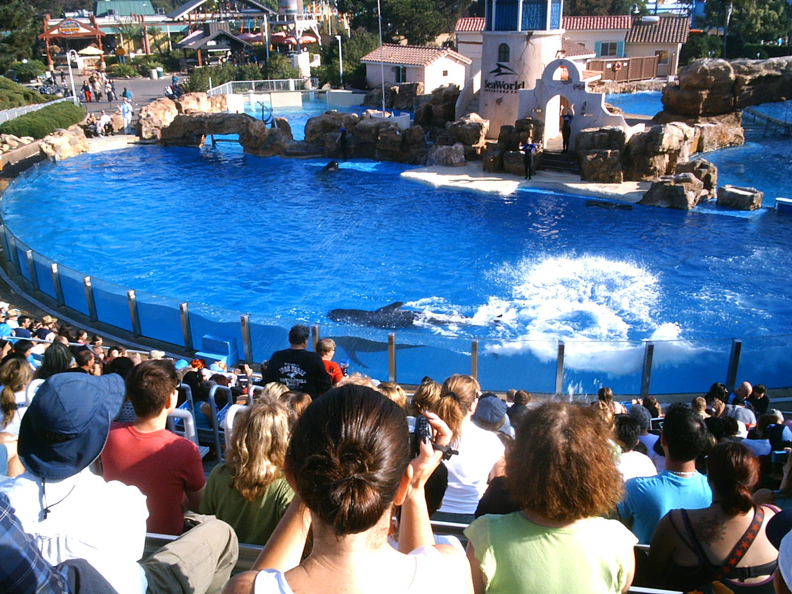 Sea World October 2008