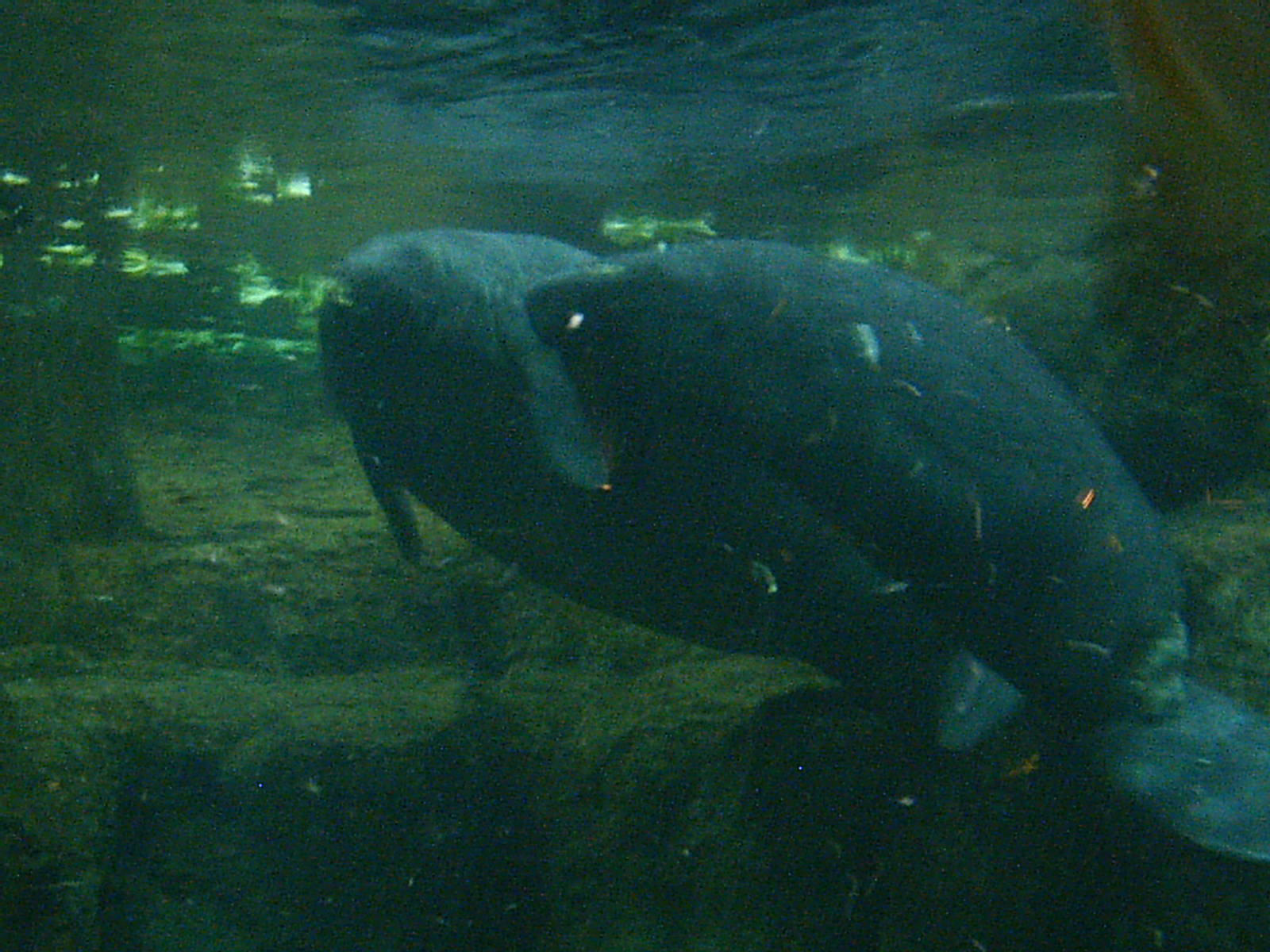 Sea World October 2008