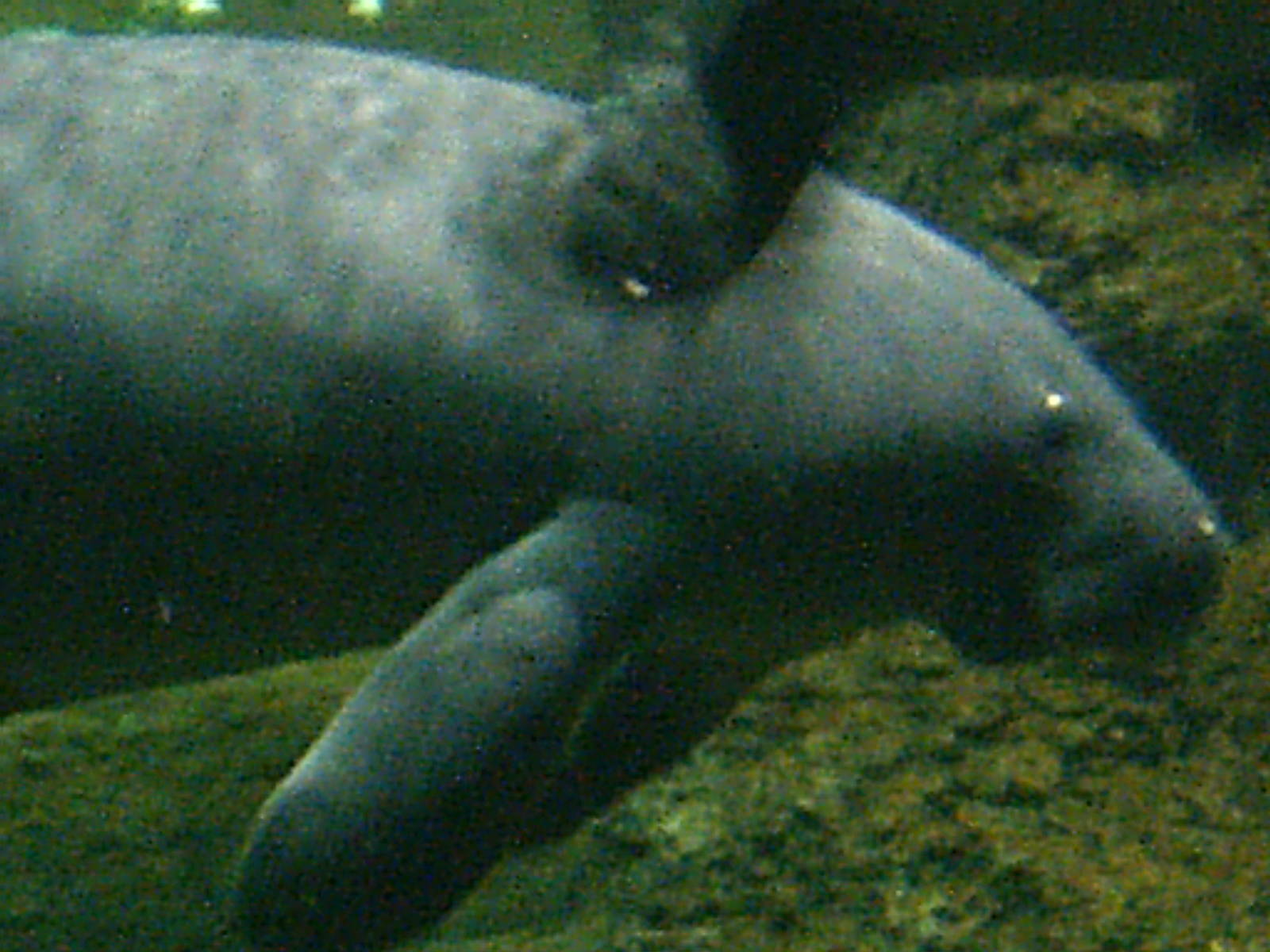 Sea World October 2008