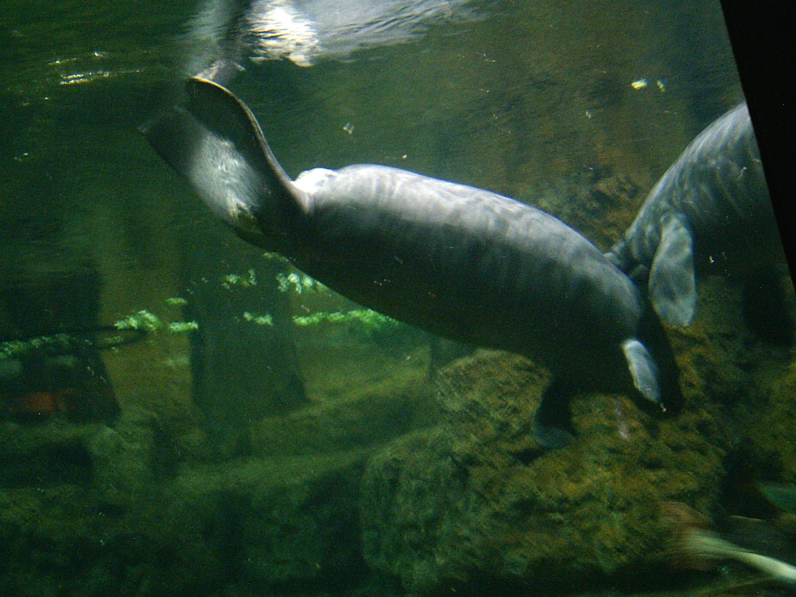 Sea World October 2008